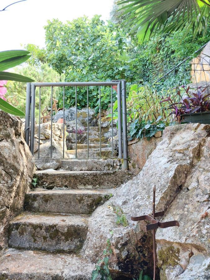 Villa Riva Molunat Dış mekan fotoğraf