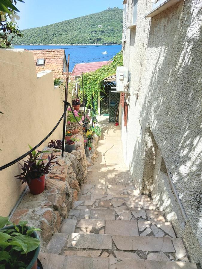 Villa Riva Molunat Dış mekan fotoğraf