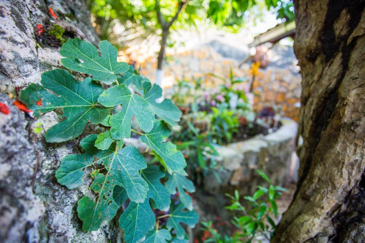 Villa Riva Molunat Dış mekan fotoğraf