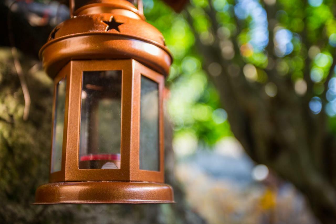 Villa Riva Molunat Dış mekan fotoğraf